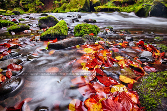 river Kamenice in autumn with long exposure, Bohemian Switzerland, Czech Republic. Стоковое фото, агентство Ingram Publishing / Фотобанк Лори