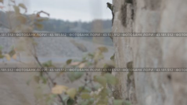 Road, rock slopes, trees along the road дорога, скальные склоны, деревья вдоль дороги. Стоковое видео, видеограф Опока Алексей / Фотобанк Лори