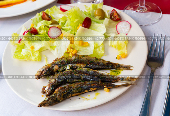 Roasted pilchards with vegetable salad. Стоковое фото, фотограф Яков Филимонов / Фотобанк Лори