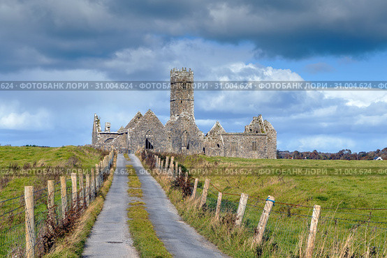Ross Errilly Friary, Ireland (2018 год). Стоковое фото, фотограф Boris Breytman / Фотобанк Лори
