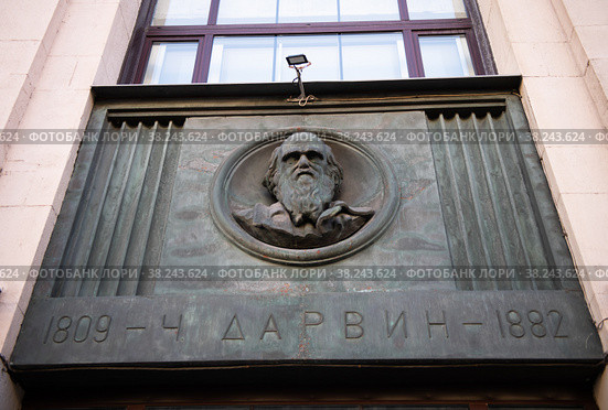 Российская государственная библиотека. Барельефы. Ч. Дарвин. Москва. Россия (2022 год). Редакционное фото, фотограф E. O. / Фотобанк Лори
