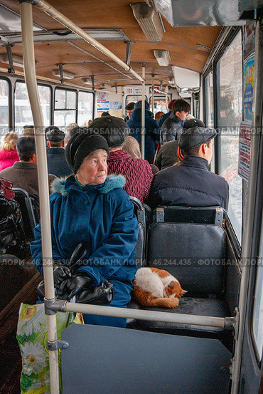 Россия, бездомная кошка едет в троллейбусе. Russia, a stray cat goes on a trolleybus. (2008 год). Редакционное фото, фотограф Евгений Романов / Фотобанк Лори