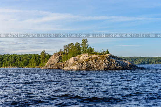 Rounded Ladoga Island, overgrown with birches. Ladoga lake skerries, Pitkyaranta, Karelia. Стоковое фото, фотограф Михаил Аккуратoв / Фотобанк Лори