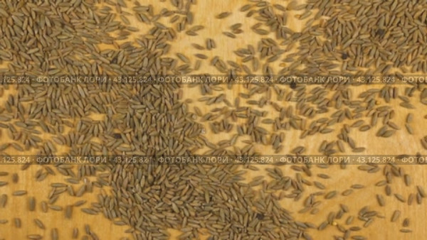 Рожь, падающая на фоне дерева, вид сверху. Rye falling on the wooden background. Стоковое видео, видеограф Александр Собко / Фотобанк Лори