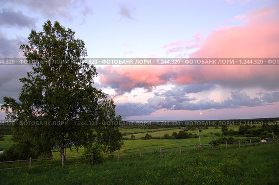 Розовые облака на закате. Стоковое фото, фотограф Елена Ильина / Фотобанк Лори