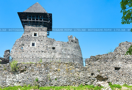 Руины Невицкого замка (построен в 13 веке), Украина. Стоковое фото, фотограф Юрий Брыкайло / Фотобанк Лори