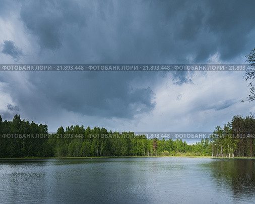 Рукотворное озеро в деревне Колядуха Псковской области. Стоковое фото, фотограф Абрамова Ксения / Фотобанк Лори