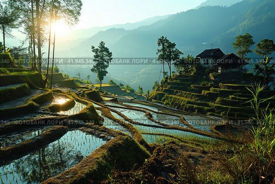Rural landscape with rice fields on mountain slopes. Стоковое AI-изображение, AI-художник Евгений Харитонов / Фотобанк Лори