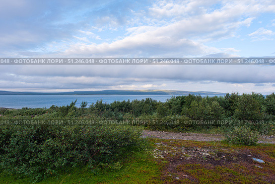 Russia, Murmansk region, Rybachy Peninsula and the Barents Sea. August 2025. Стоковое фото, фотограф Ирина Толокновская / Фотобанк Лори
