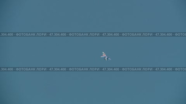 Russian air force aerobatic team Russian Knights SU-27. Стоковое видео, видеограф Алексей Сергеев / Фотобанк Лори