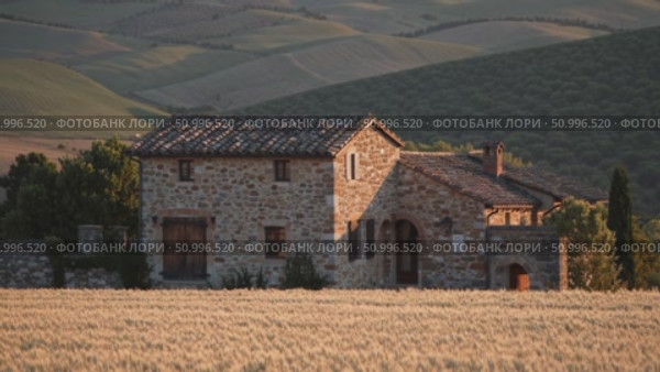 Rustic tuscan cottage nestled within rippling golden wheat field, glowing under late afternoon sunlight, capturing idyllic rural italian landscape essence. Стоковое AI-видео, аниматор Данил Руденко / Фотобанк Лори