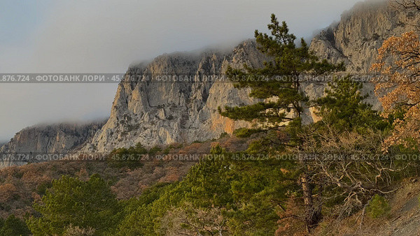 Рыцари в тумане. Стоковое фото, фотограф Юлия Евтушенко / Фотобанк Лори