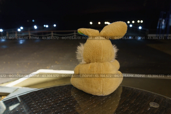 Sad brown bunny toy sits on the wooden bench near the lake. He looks at pier and harbour. He hung his ears sadly. No one knows what he is thinking, what upset him. Back view. Стоковое фото, фотограф YuryKara / Фотобанк Лори