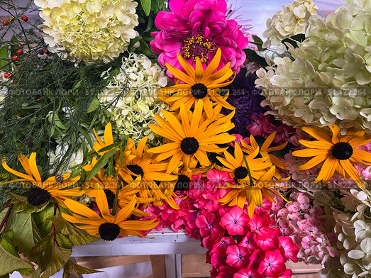 Садовые цветы. Рудбекия, флоксы, гортензии, цинии.Garden flowers. Rudbeckia, phlox,hydrangeas, cynias. Стоковое фото, фотограф Александр Рыбалка / Фотобанк Лори