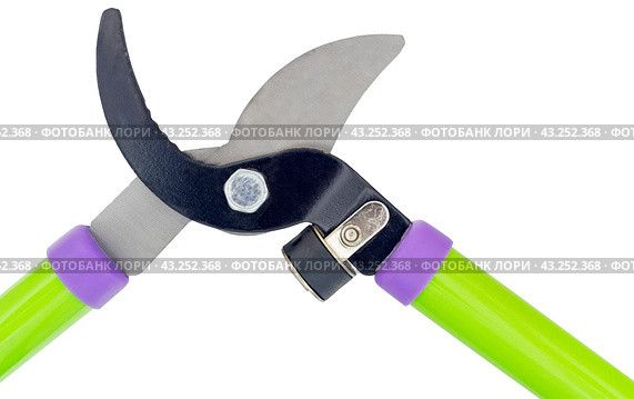Садовый секатор на белом фоне. Gardening secateurs for cutting branches isolated on white. Стоковое фото, фотограф Татьяна Д / Фотобанк Лори