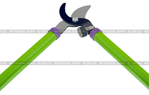 Садовый секатор на белом фоне. Gardening secateurs for cutting branches isolated on white. Стоковое фото, фотограф Татьяна Д / Фотобанк Лори
