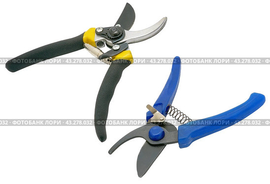 Садовый секатор на белом фоне. Gardening secateurs for cutting branches isolated on white. Стоковое фото, фотограф Татьяна Д / Фотобанк Лори
