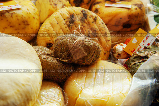 Sale of cheese of different varieties at the farm fair. Cheese from Russian producers is offered to customers. Стоковое фото, фотограф Оксана Медведева / Фотобанк Лори