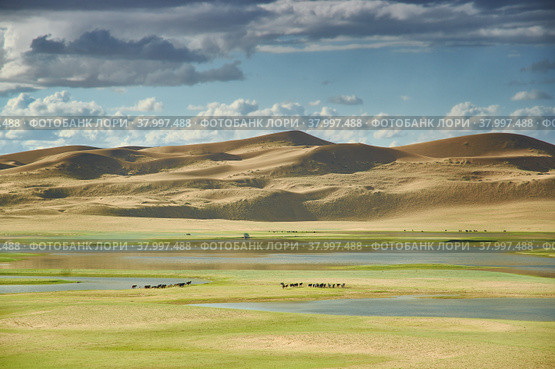 sand dunes of lake Durgen Nuur (2019 год). Стоковое фото, фотограф Александр Fanfo / Фотобанк Лори