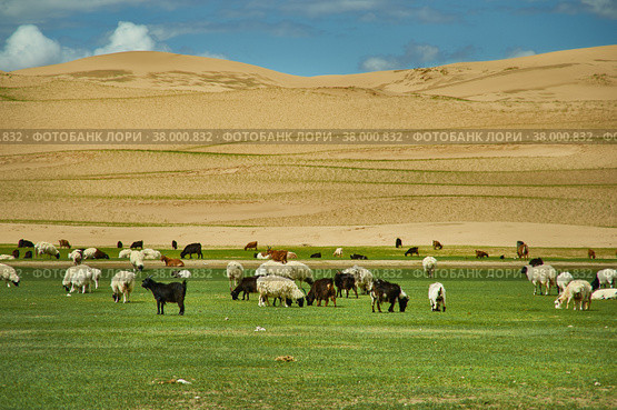 Sands Mongol Els (2019 год). Стоковое фото, фотограф Александр Fanfo / Фотобанк Лори