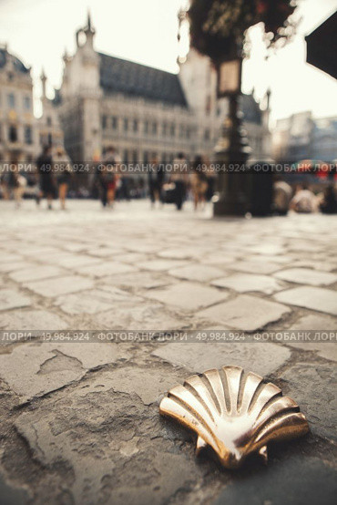 Santiago shell St James shell on the main square in Brussels, Belgium. St James shell in Brussels. Стоковое фото, агентство Ingram Publishing / Фотобанк Лори