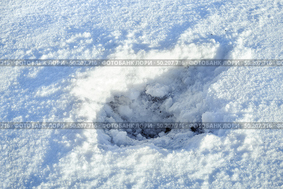 Scarps and trace crater of a grenade explosion on the snow sunny day. Стоковое фото, фотограф Camptoloma / Фотобанк Лори