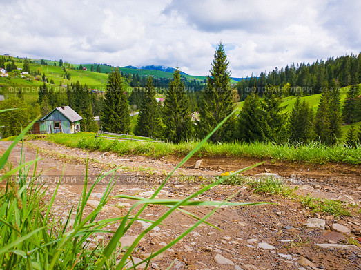 Scenic view of a cuontry road leading to an old village of wooden cabins on the hills of Carpathians. Sunny spring day with green grass, flowering meadows and evergreen forests. . Стоковое фото, агентство Ingram Publishing / Фотобанк Лори