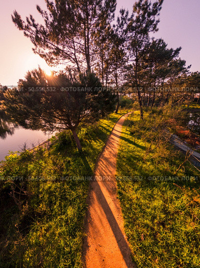 Scenic view of Bucaquinho Natural Park, Ovar, north of Portugal. Стоковое фото, агентство Ingram Publishing / Фотобанк Лори