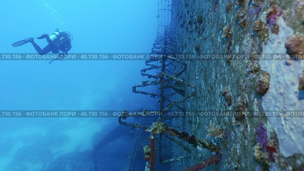Scuba diver swim along deck of ferry Salem Express shipwreck approaching the ship's superstructure, Red sea, Safaga, Egypt. Стоковое фото, фотограф Некрасов Андрей / Фотобанк Лори
