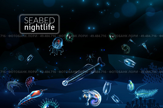 Seabed nightlife underwater scene with reef seaweed coral and plankton characters cartoon vector illustration. Стоковая иллюстрация, агентство Ingram Publishing / Фотобанк Лори