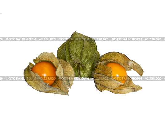 Съедобные плоды земляничного физалиса (pubescens Physalis) на белом фоне изолировано. Крупным планом. Стоковое фото, фотограф Наталья Волкова / Фотобанк Лори