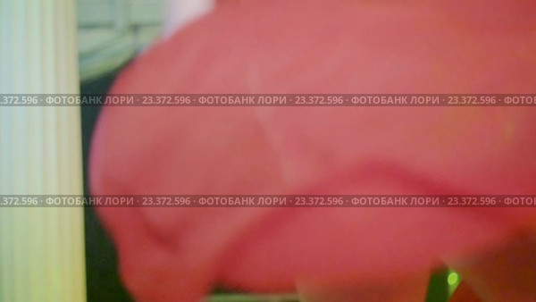 Сексуальная танцовщица в белье и красном палантине танцует в ночном клубе. Стоковое видео, видеограф Александр Багно / Фотобанк Лори