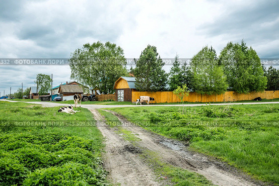 Село Суенга. Новосибирская область, Маслянинский район, Западная Сибирь России. (2024 год). Стоковое фото, фотограф Евгений Мухортов / Фотобанк Лори