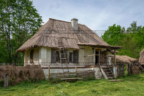 Сельский дом. Псковская область (2024 год). Стоковое фото, фотограф Анна Карасева / Фотобанк Лори