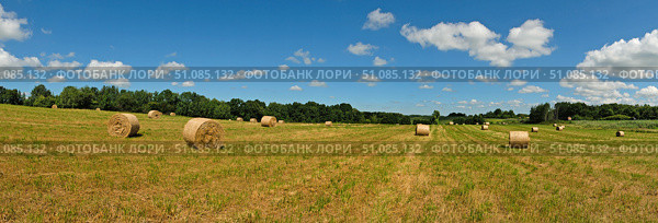 Сельский пейзаж с рулонами сена. Стоковое фото, фотограф Ольга Дмитренко / Фотобанк Лори