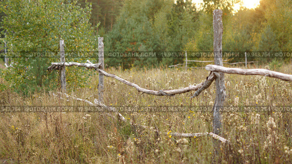 Сельский забор. Стоковое фото, фотограф Алёна Корж / Фотобанк Лори