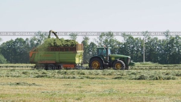 Сельскохозяйственная техника убирает скошенную траву с поля. Сенокос, заготовка травы на зиму. Редакционное видео, видеограф Глущенко Елена / Фотобанк Лори