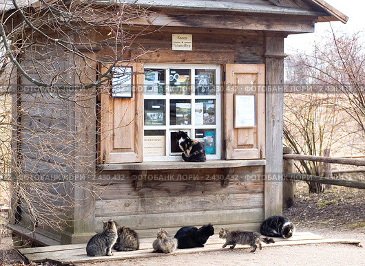 Семь кошек - очередь в кассу (2008 год). Редакционное фото, фотограф Владимир Горощенко / Фотобанк Лори