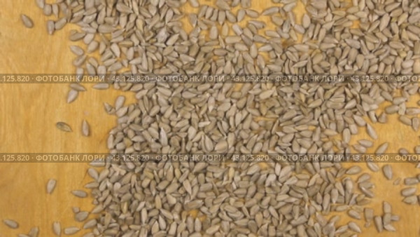 Семена подсолнечника падают на деревянный фон, вид сверху. sunflower seeds falling on the wooden background. Стоковое видео, видеограф Александр Собко / Фотобанк Лори