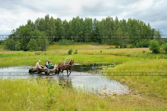 Сенокос на Вилии (2008 год). Редакционное фото, фотограф Владимир Блинов / Фотобанк Лори