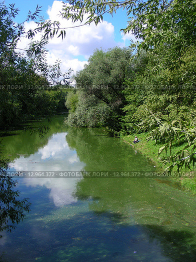 Серебряно-Виноградный пруд в Москве летом (2008 год). Стоковое фото, фотограф lana1501 / Фотобанк Лори