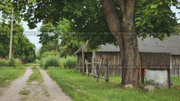 Serene countryside scene featuring a dirt road leading towards an old wooden barn under a leafy tree. Стоковое видео, видеограф Mikhail Davidovich / Фотобанк Лори