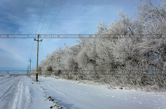Serene winter scene with frost-covered branches creating a magical white wonderland, snow blankets the ground beneath dormant trees. Стоковое фото, фотограф Владимир Ендовицкий / Фотобанк Лори