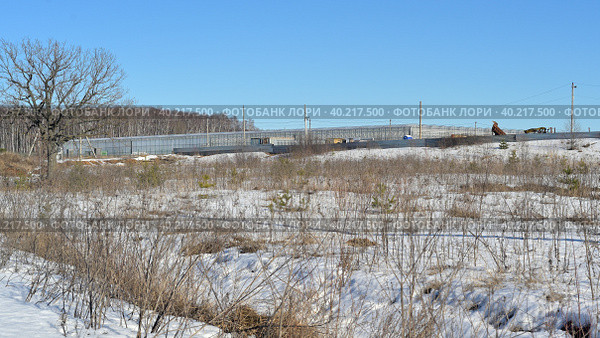 Серпуховской городской округ. ООО "ТТК", Туровский тепличный комплекс. (2023 год). Редакционное фото, фотограф Владимир Литвинов / Фотобанк Лори