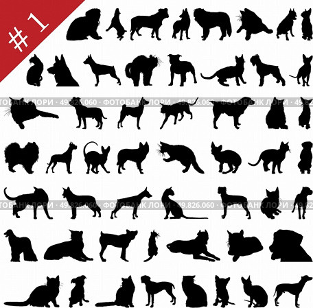 Set # 1 of different vector pets silhouettes for design use. Стоковая иллюстрация, агентство Ingram Publishing / Фотобанк Лори