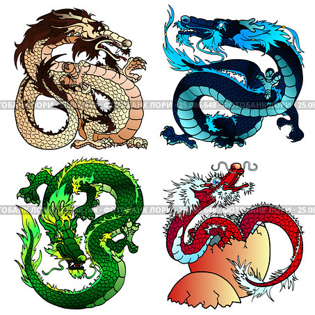 Set four strong Asian colorfull dragon. Стоковая иллюстрация, иллюстратор Анастасия Некрасова / Фотобанк Лори
