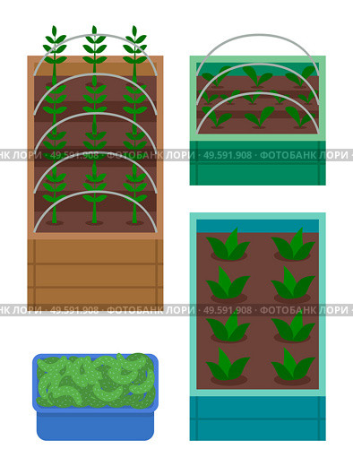 Set of boxes with garden. Growing plants in wooden boxes with soil. Breeding plants. Seedlings of vegetables, salad or flowers. Cucumbers, harvest in box. Green sprouts, agriculture at home concept. Set of wooden boxes with garden, sprouts, seedlings, container with cucumbers, harvest, agriculture. Стоковая иллюстрация, агентство Ingram Publishing / Фотобанк Лори