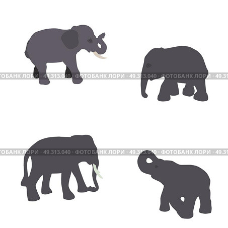 Set of Elephant Isolated on White Background.. Set of Elephant Isolated on White Background. Eps10. Стоковая иллюстрация, агентство Ingram Publishing / Фотобанк Лори