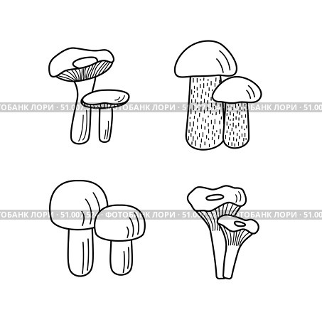 Set of mushroom icons. Illustration of boletus, chanterelles, honey mushrooms, champignons, aspen mushroom and russula. Стоковая иллюстрация, иллюстратор Глущенко Елена / Фотобанк Лори