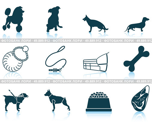 Set of twelve dog breeding icons with reflections. Vector illustration. Стоковая иллюстрация, агентство Ingram Publishing / Фотобанк Лори